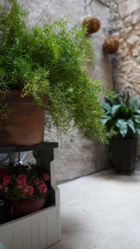 Apartmani Tripalo