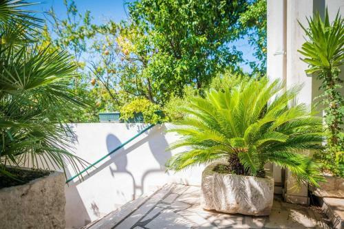 Apartmani Gradac