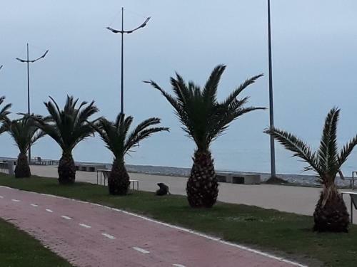 Apartament Edvard