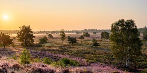 Posada Herberg de Zwaan Elspeet