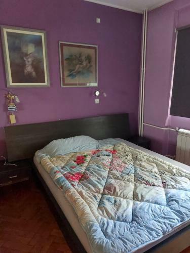 Apartamento Stan Za Vreme Exita