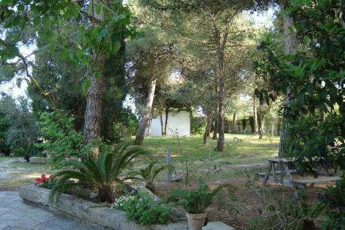 Agroturismo Agriturismo Vignavecchia