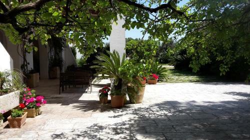 Agroturismo Agriturismo Vignavecchia