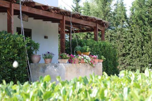 Agroturismo Agriturismo La Contessa