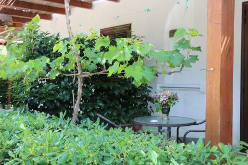 Agroturismo Agriturismo La Contessa