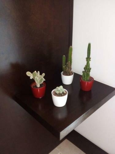 Apartamento Bairro Nobre Brusque Sc