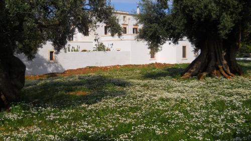 Agroturismo Masseria De Michele
