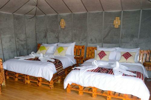Relaxing Desert Camp - Luxury & Royal