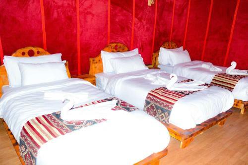 Relaxing Desert Camp - Luxury & Royal