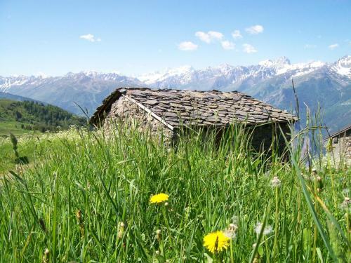 Hostal G�te Le Shanton�