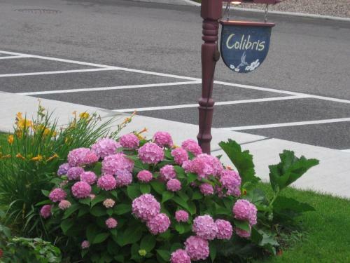 Bed & Breakfast Les Colibris