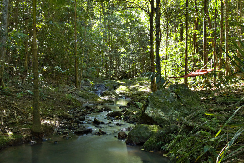 Lodge Narrows Escape Rainforest Retreat
