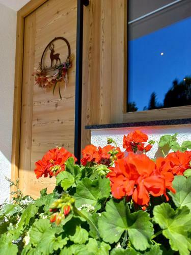 Agroturismo Bergappartement Kink