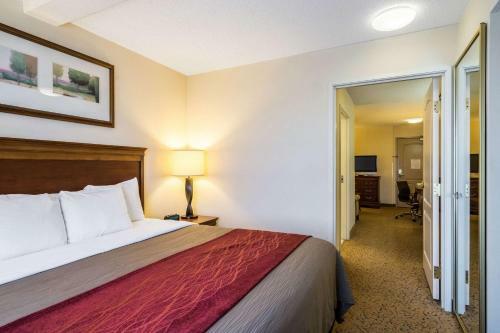 Hotel Comfort Inn & Suites Dover