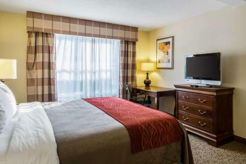 Hotel Comfort Inn & Suites Dover