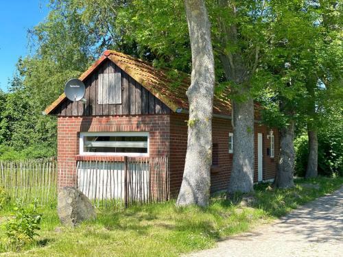 Hofgut Bisdamitz - Ferienhaus "knoff"