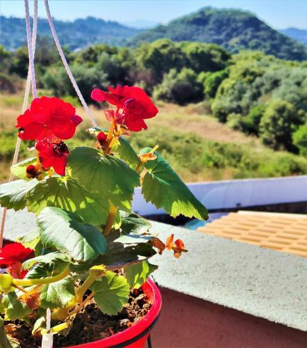 Apartamento Heaven House With Pool