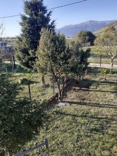 Apartamento Ioannina Cozy Retreat