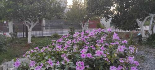 Garden Sea Apartment