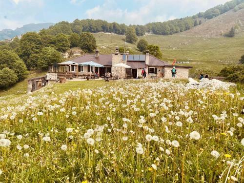 Albergue Rifugio Baita Fos-ce