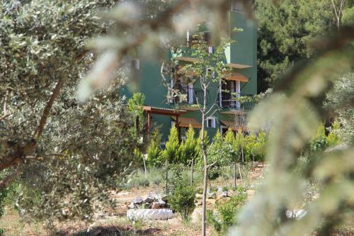 Bed & Breakfast Comfy Apart Surrounded By Nature In Kusadasi
