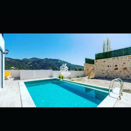 Villa T�lip