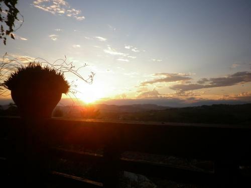 Bed & Breakfast La Terrazza Sul Monferrato