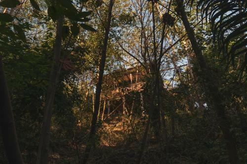 Agroturismo La Casita Del Bosque