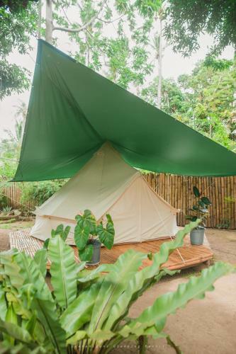 Shenanigans Glamping Resort