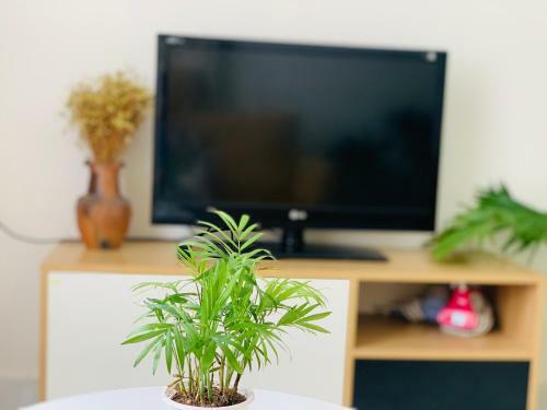 Apartamento C?n H? Kh�ch S?n Homestay Phan Rang