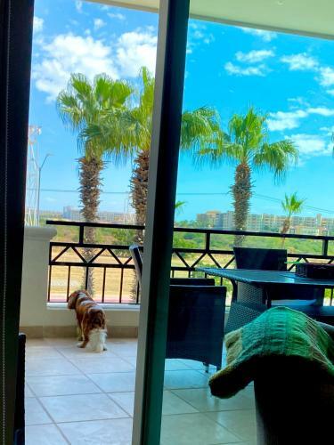 Apartamento Cabo Medano Beach