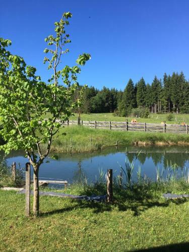 Apartamento Ferienwohnung Morgensonne