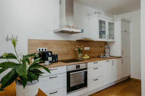 Apartamento Auszeit Neusiedlersee Top 1