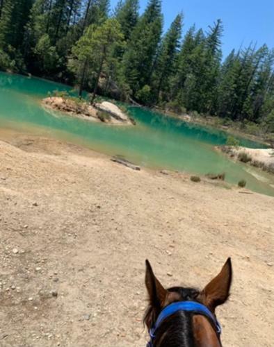 Harmony Ridge Ranch Nestled On A Secluded 6 Acres