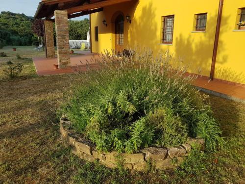 Agroturismo Agriturismo Podere Casalone