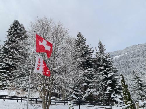Apartamento Panorama, Appartement 34, Torgon Schweiz