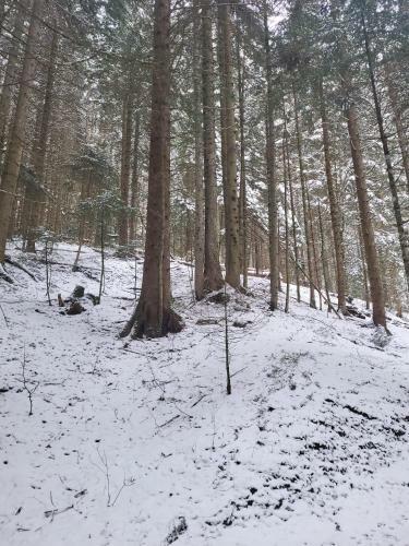 Apartamento Panorama, Appartement 34, Torgon Schweiz