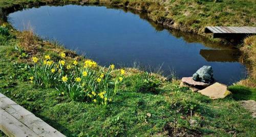 Peak District Cottage Set In 5 Acres Near Buxton