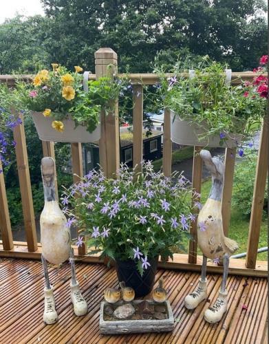 Apartamento Moel Siabod - Glan Gwna Holiday Park