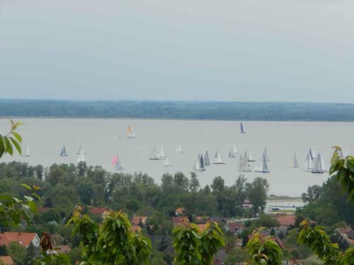 Holiday Home In Vonyarcvashegy - Balaton 42697