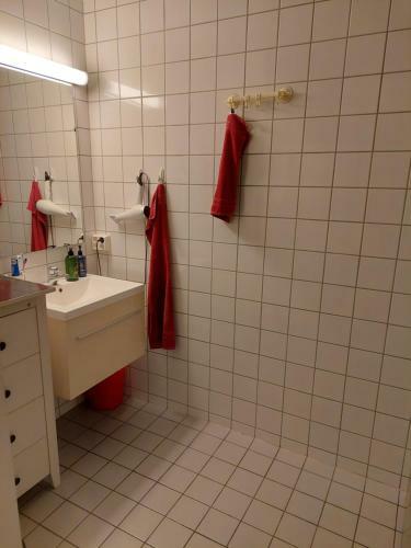 Apartamento Down Town, By The Central Station( Oslo S)