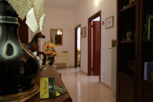 Hostal La Mimosa