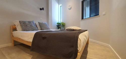 Campus - Faro Apartments By HD Properties
