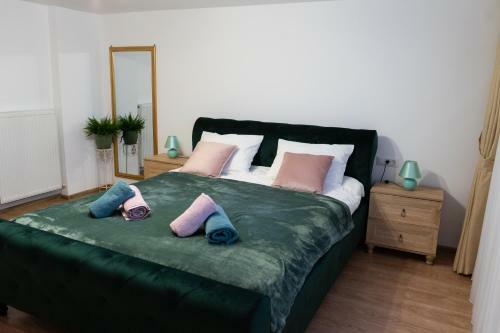 Ultra Central Apartment, Free Parking Oradea - Stray Cats