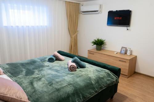 Ultra Central Apartment, Free Parking Oradea - Stray Cats