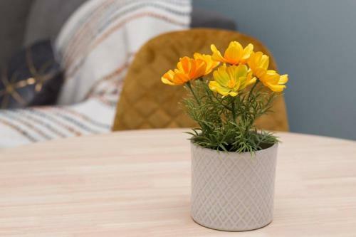 Apartamento Dream Weaver's Retreat