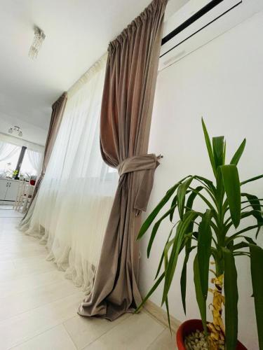 Apartament Mamaia Clasic