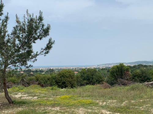 Nefes Urla Bungalov