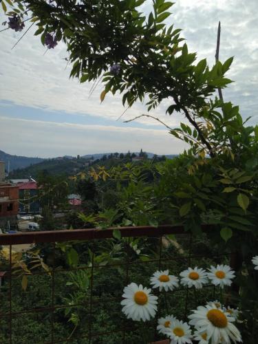 Villa Panoroma (5 Bedrooms 3 Bathrooms)
