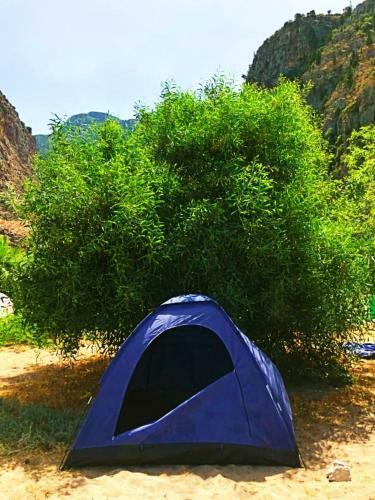 Butterfly Valley Glamping And Food